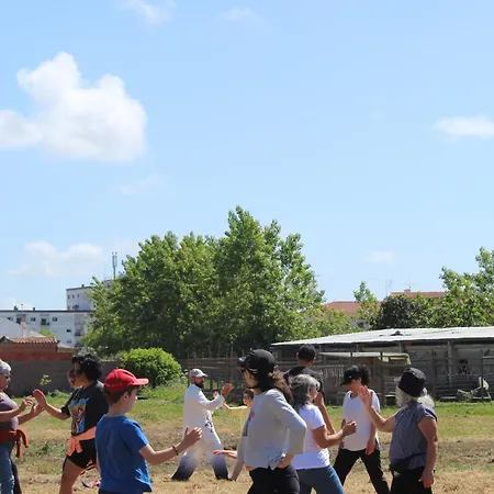 Couette-café Noctua Villam 3*