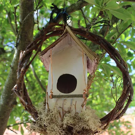 Noctua Villam Couette-café Marinha Grande