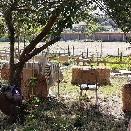 Noctua Villam Couette-café 3*